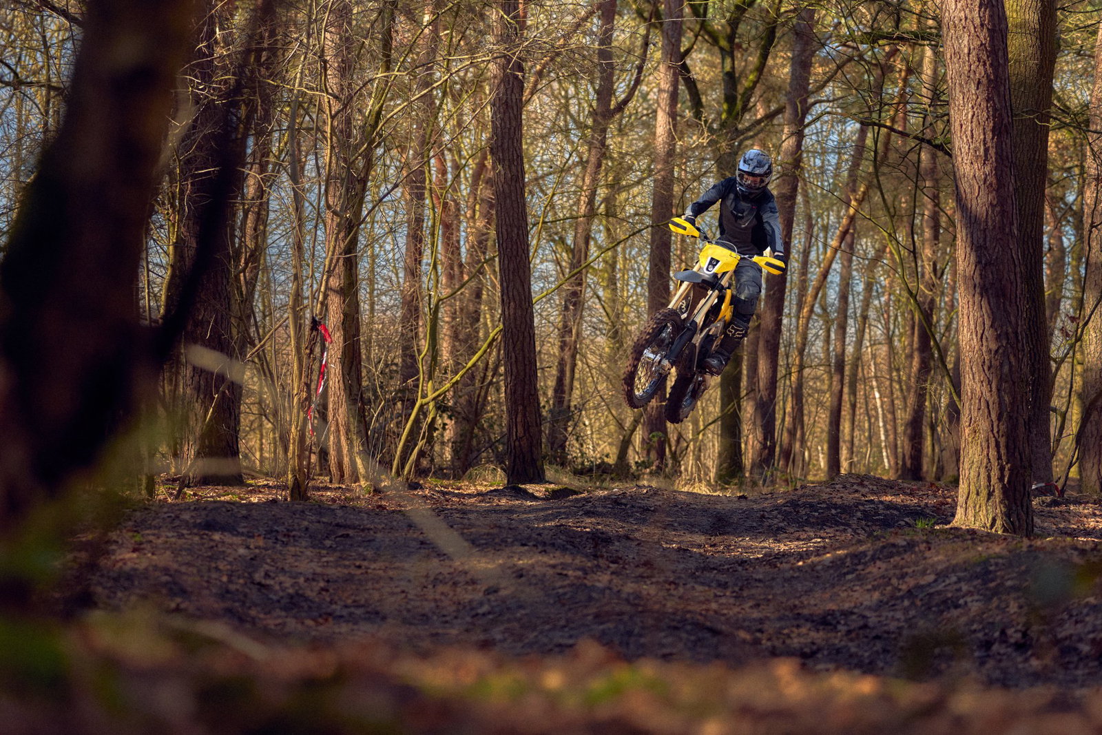Saltando el Radian EXR en el bosque